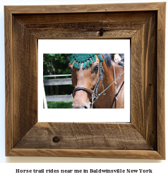 horse trail rides near me in Baldwinsville, New York